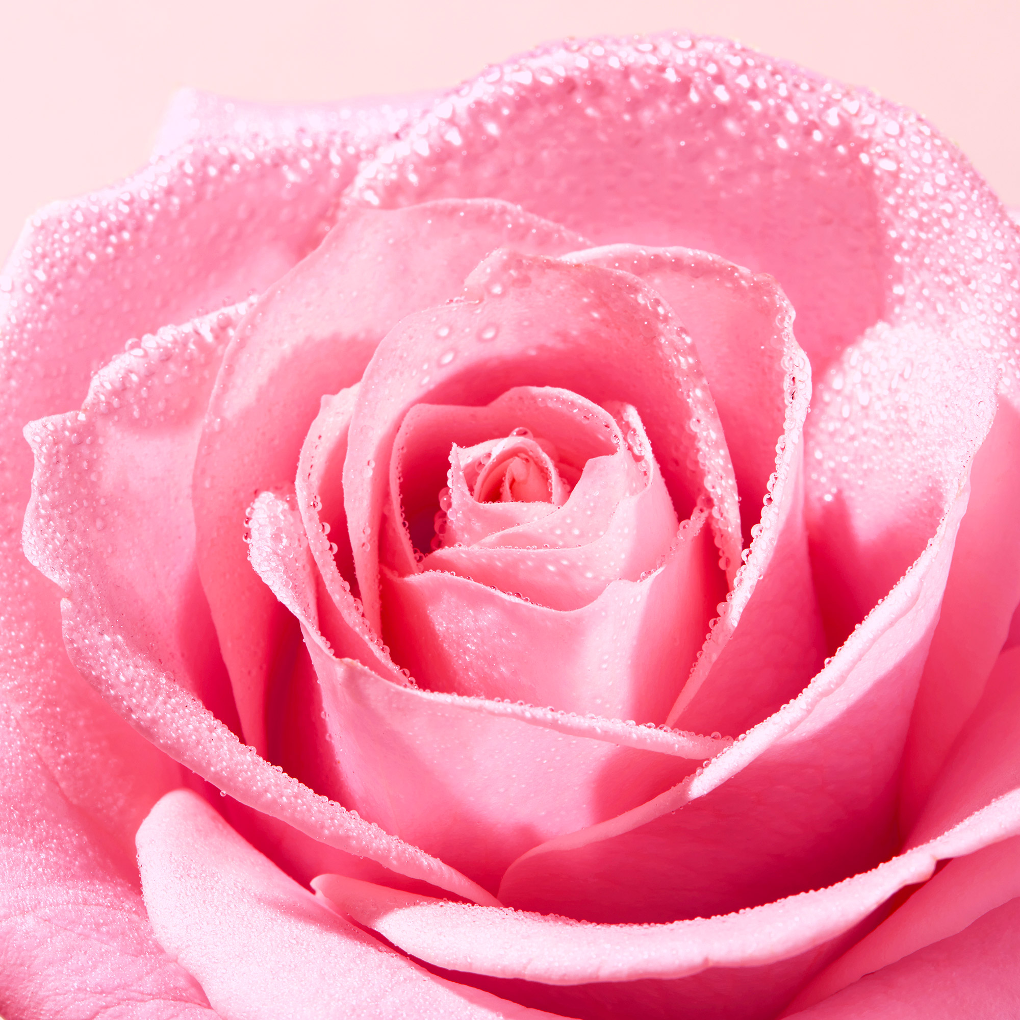 Nuxe Very Rose Creme Esfoliante Rosto 75ml